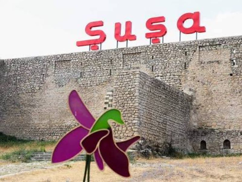 Azad edilmiş ərazilərdə mina təhlükəsi ilə bağlı maarifləndirici videoçarx hazırlanıb